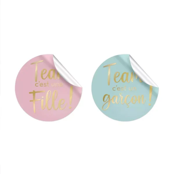 Stickers gender reveal baby shower team fille et garçon rose et bleu