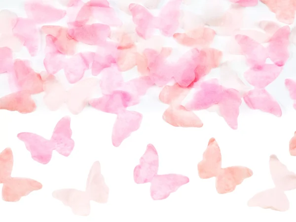 Canon rose – Image 4